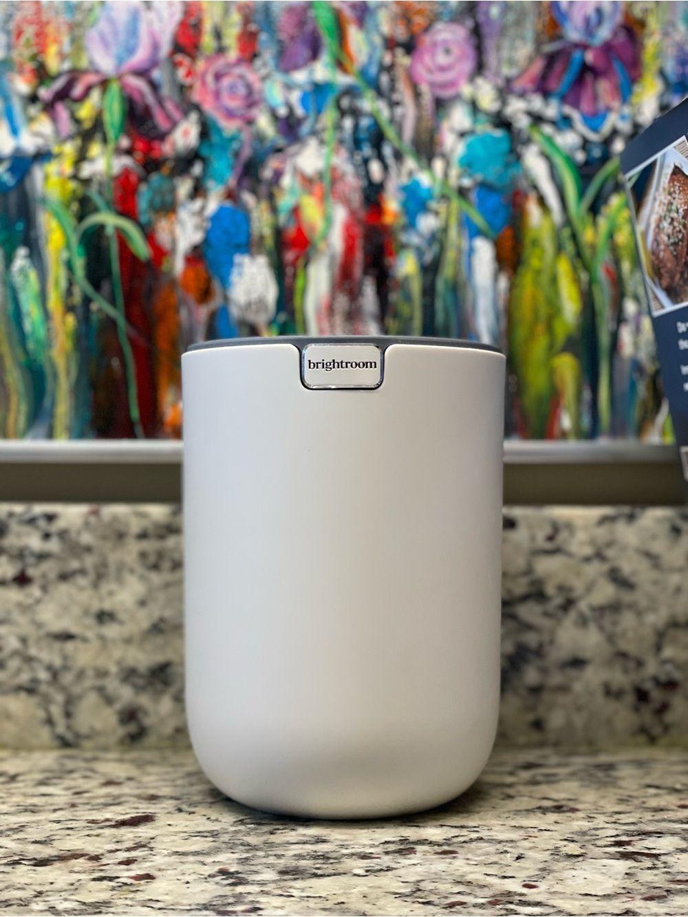 Brightroom Small White Desktop Wastebasket w/Silver Swinging Lid